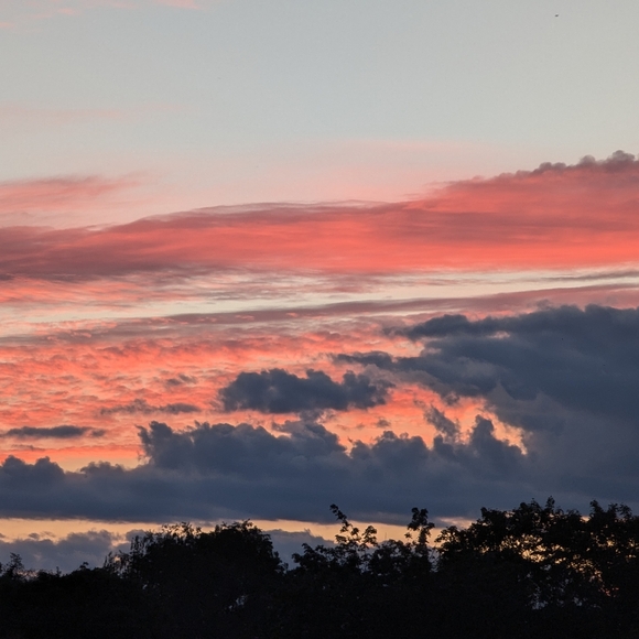 Roz & Ali Pants - Plus size bundle notification